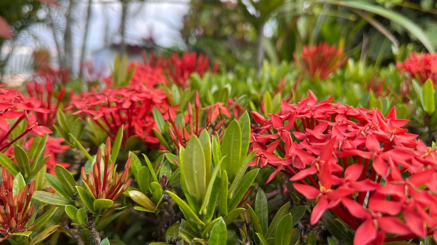 O que é o equinócio de primavera e por que ele marca uma mudança nos nossos dias até o fim do ano?