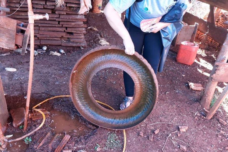 Saúde alerta: cuidados com a dengue não podem tirar férias