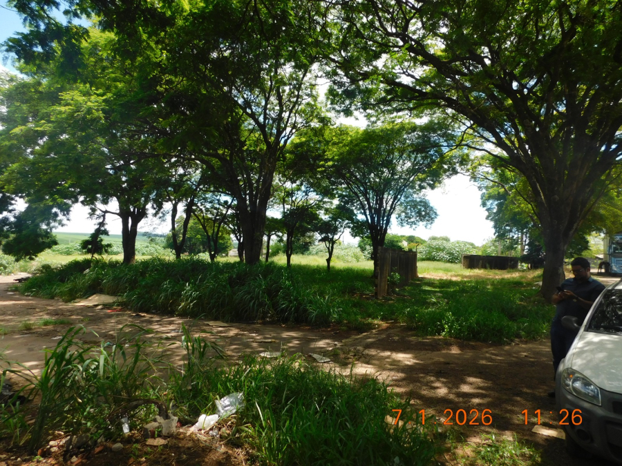 Prefeitura de Campo Mourão emite mais de 1.500 notificações por falta de limpeza de terrenos em 2025