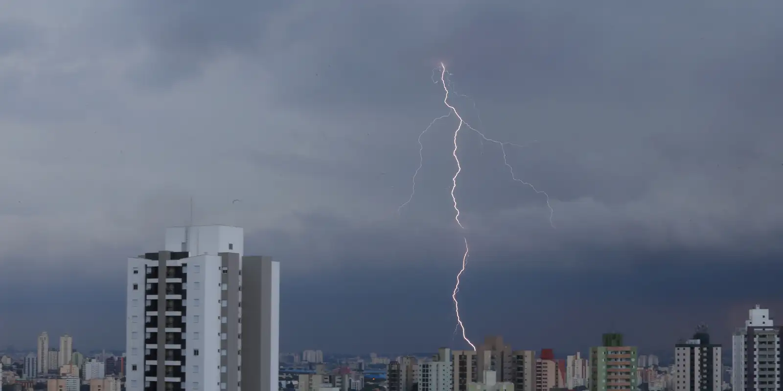 SP registra desabamentos e quedas de árvore por chuva forte