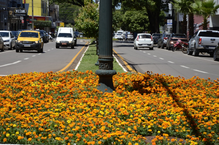 CAMPO MOURÃO REGULAMENTA CIRCULAÇÃO DE VEÍCULOS PESADOS NA ÁREA CENTRAL