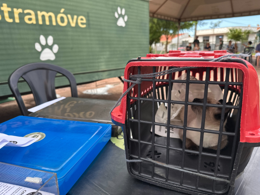 Castramóvel oferece 150 vagas para castração gratuita de cães e gatos em Campo Mourão