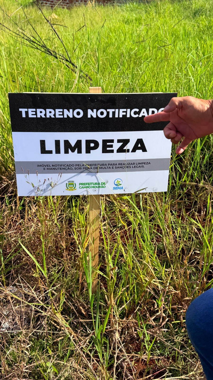 Prefeitura multa proprietários por falta de limpeza em terrenos de Campo Mourão