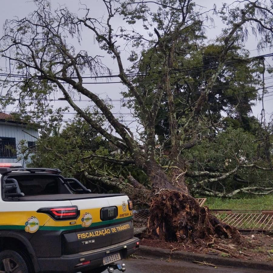 Temporal em Campo Mourão: Defesa Civil e Corpo de Bombeiros atendem 15 ocorrências após chuva forte e ventania